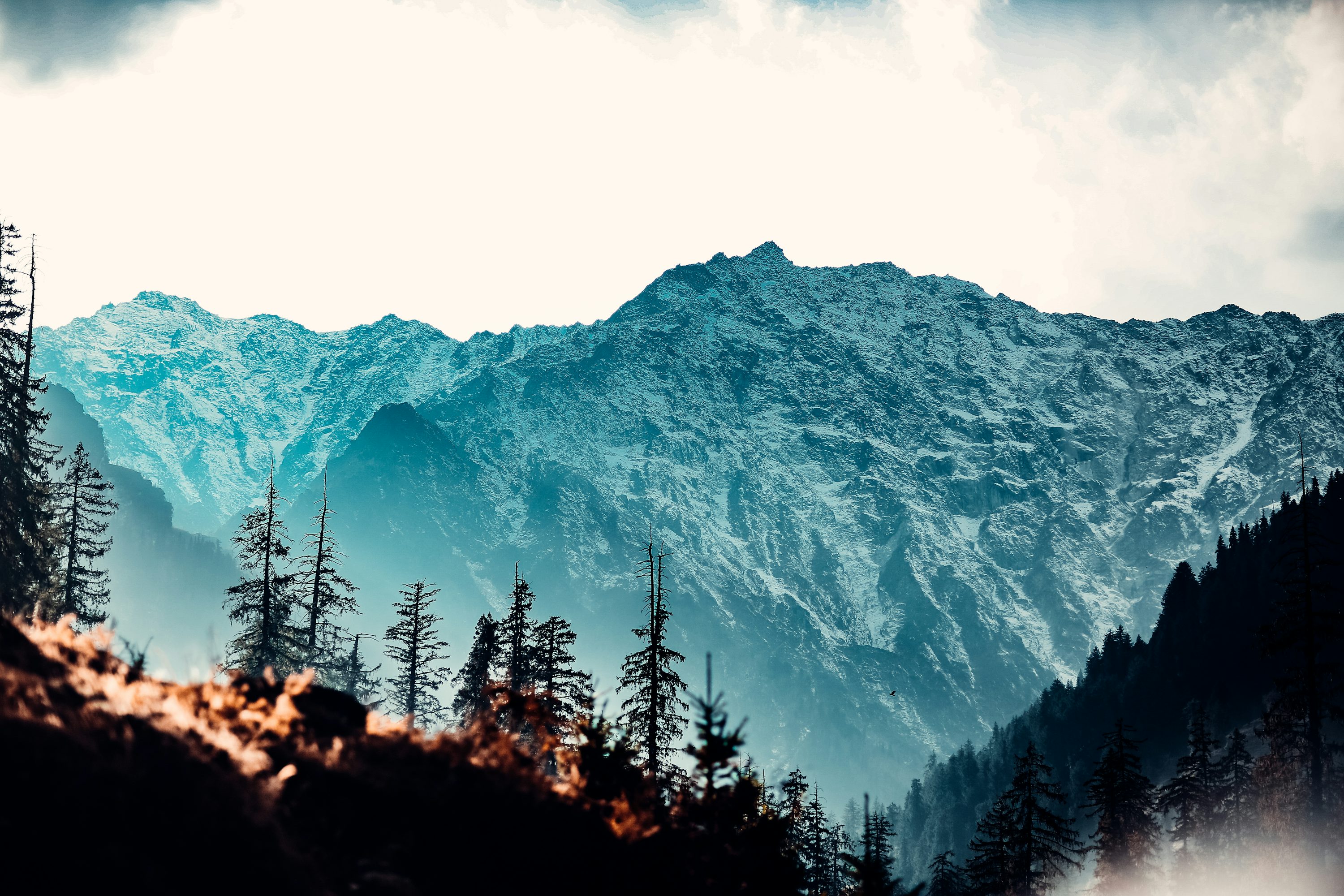 Manali – The Himalayan Wonderland