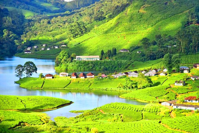 Kerala Delights: From Tea Gardens to Houseboats