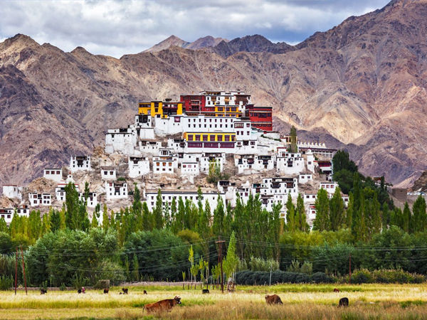 Ladakh Unveiled: From Nubra to Tso Moriri